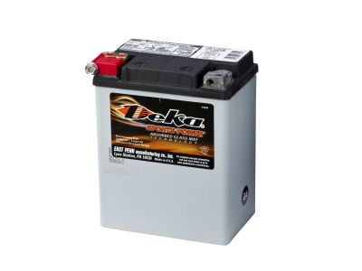 DEKA Sports Power AGM 14A/h  ETX15