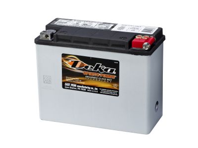 DEKA Sports Power AGM 20A/h  ETX18L