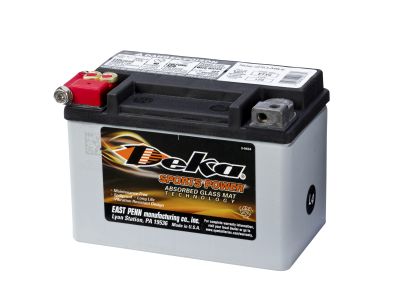 DEKA Sports Power AGM 8A/h  ETX9
